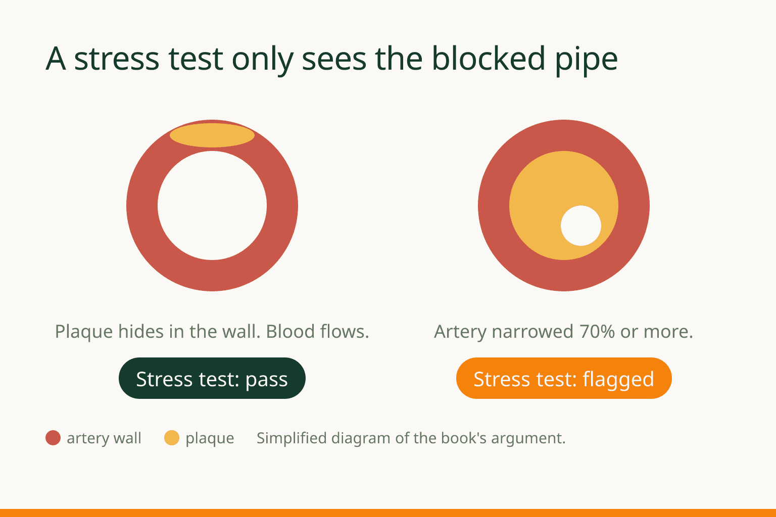 Simplified diagram of two arteries. Left: plaque hidden in the artery wall with blood still flowing, which passes a stress test. Right: an artery narrowed 70 percent or more, which a stress test flags.