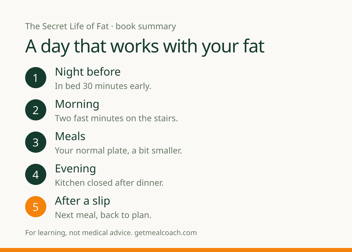 A one-day plan in five steps: bed 30 minutes early, two fast minutes on the stairs, a slightly smaller plate, kitchen closed after dinner, and back to plan after a slip.
