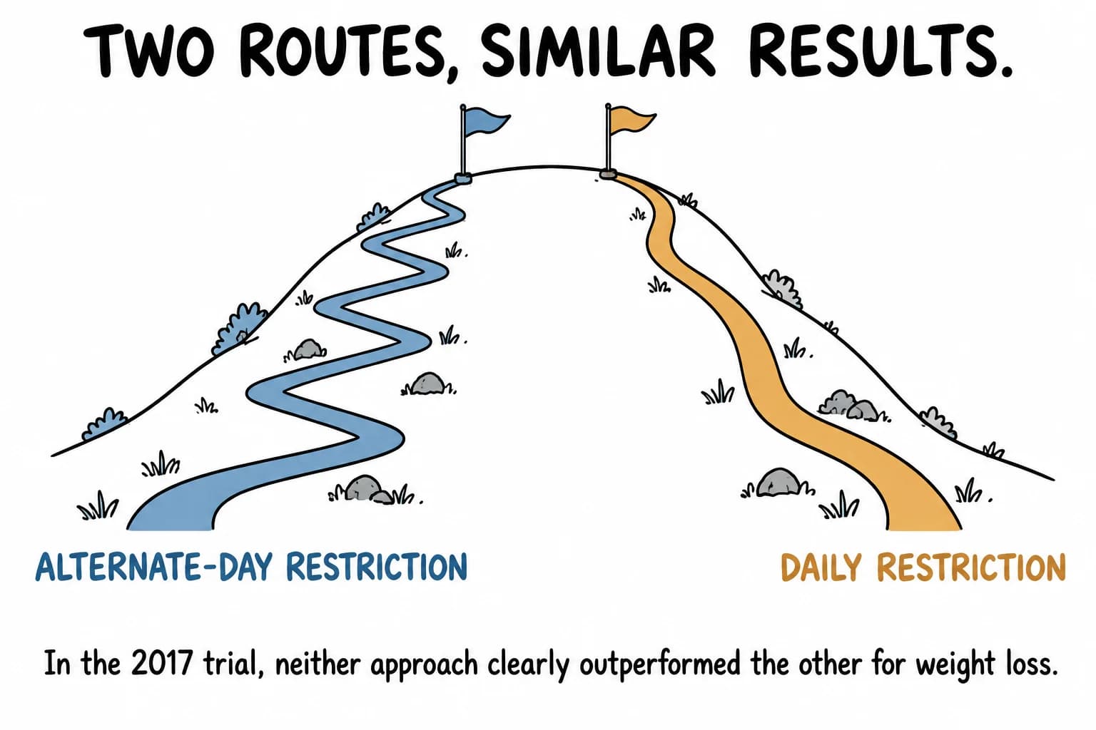 Two paths reach a similar height, illustrating the 2017 trial finding that alternate-day and daily calorie restriction produced similar weight loss. This is a metaphor, not a numerical chart.